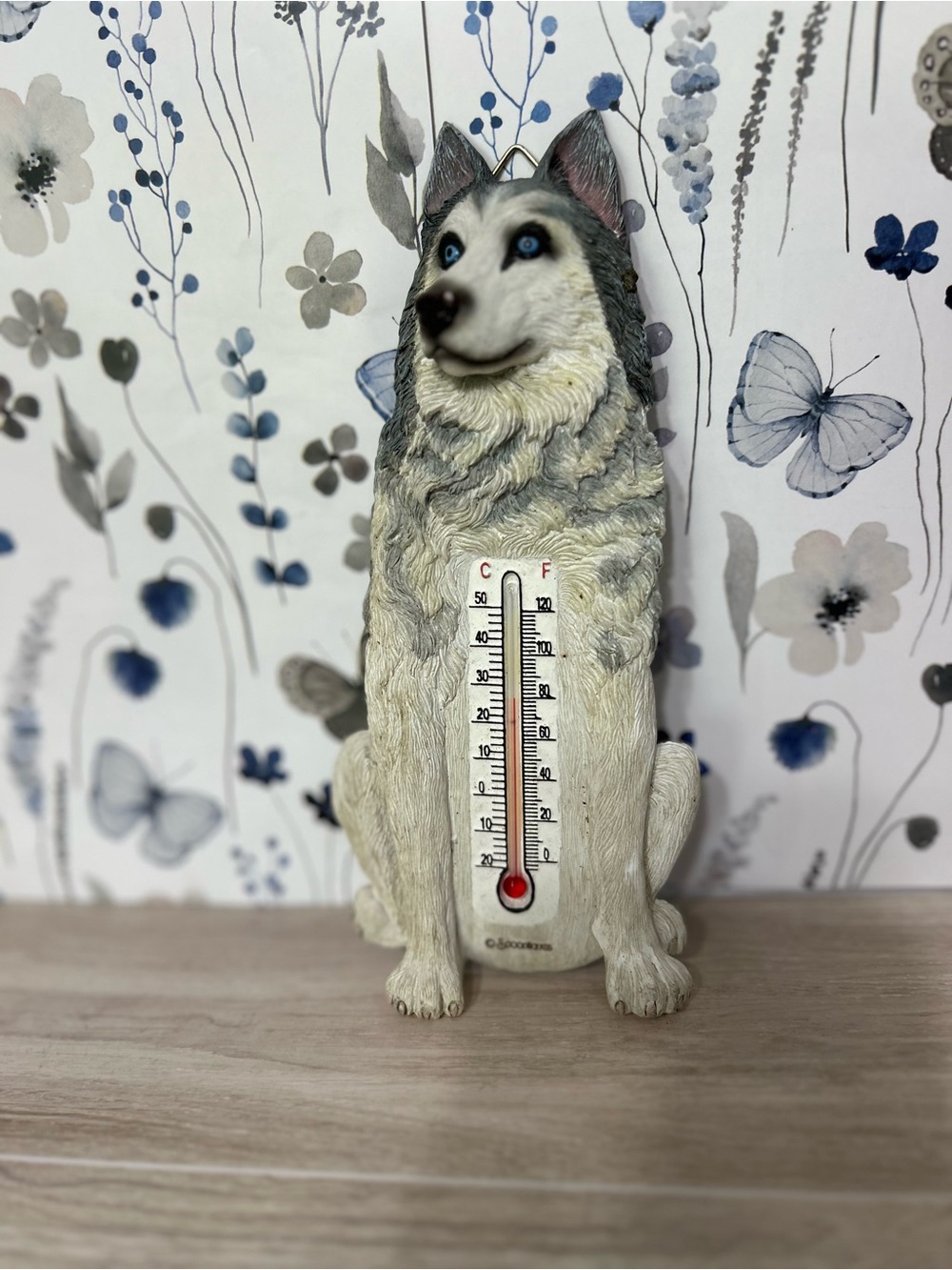 SpoonTiques Siberian Husky Dog Wall Thermome